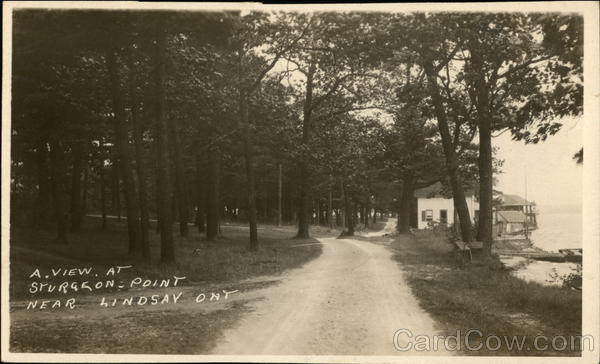 Sturgeon Point Lindsay Canada Ontario