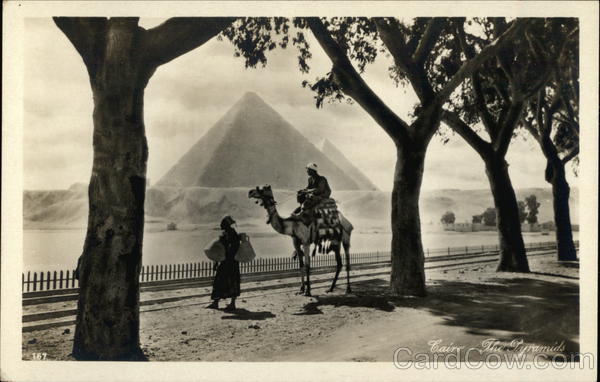 Man on Camel woth Pyramids in Background Cairo Egypt