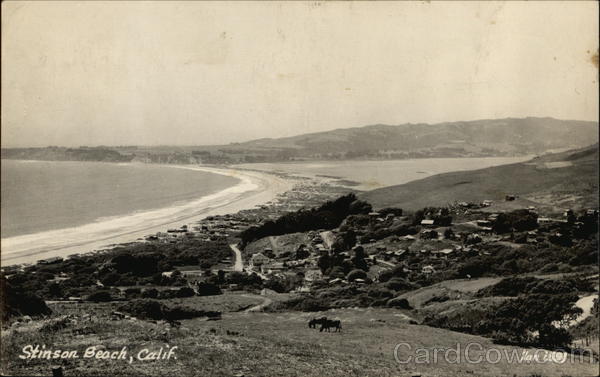 View of Beach Stinson Beach California