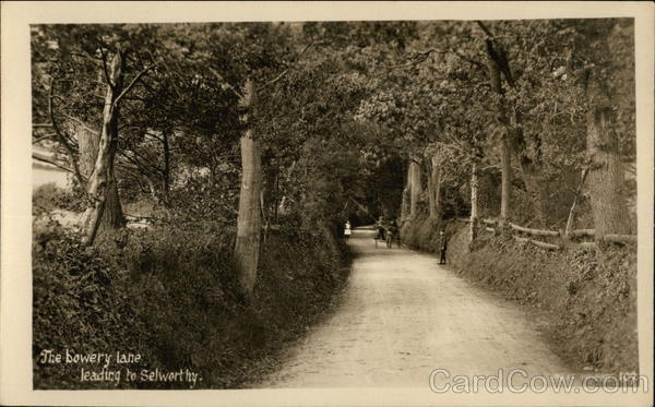 The Bowery Lane Leading to Selworthy Somerset England