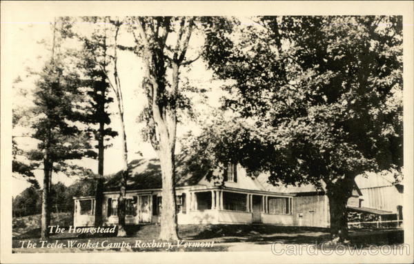 The Homestead At The Teela-Wooket Camps Roxbury Vermont