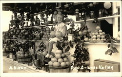 Rio Grande Valley - Girl at Fruit Stand Postcard
