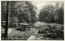 The Grove, Frank Newhall Look Park Postcard