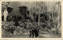 Hayden's Acres - Man and Black Bear Ossineke, MI Postcard Postcard Postcard