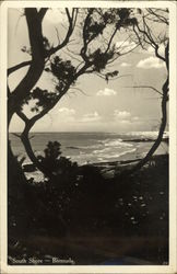 South Shore Postcard