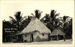 Stock #459313 Thumbnail