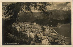 Bird's-Eye View Postcard