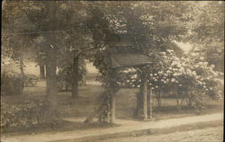 Entryway into a Garden with Trees and Flowers Postcard
