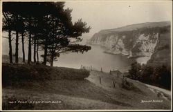 Coastal VIew Postcard