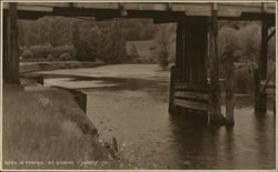 River Thames Postcard