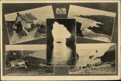 Greetings from The Lizard Postcard