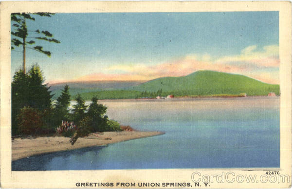 Greetings From Union Springs New York