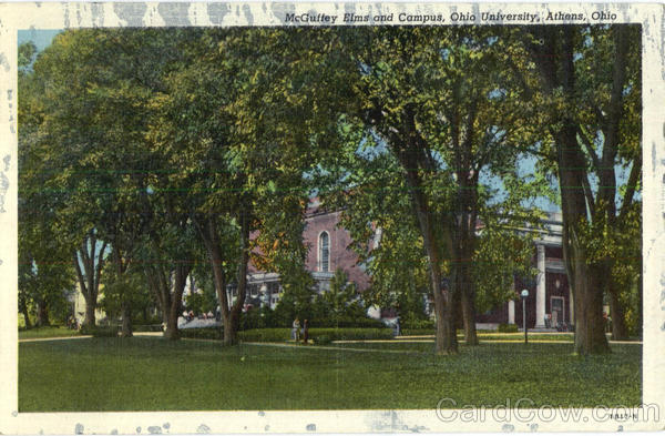 McDuffie Elms And Campus, Ohio University Athens