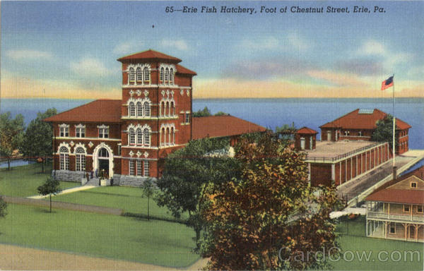 Erie Fish Hatchery, Chestnut Street Pennsylvania