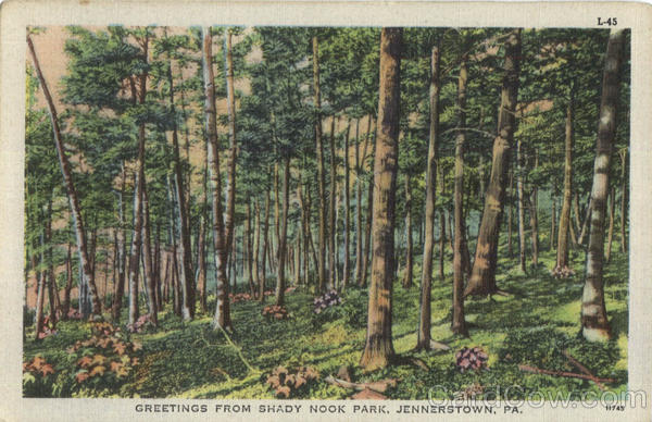 Greetings From Shady Nook Park Jennerstown Pennsylvania