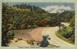 Greetings From East Poestenkill Postcard