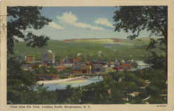View From Ely Park Looking South Binghamton, NY Postcard Postcard