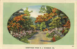 Greetings From R. I. Windsor Postcard