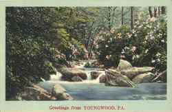 Greetings From Youngwood Postcard
