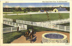 Blue Grass Stock Farm Postcard