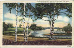 Birches On Silver Lake Near Traverse City Michigan Postcard Postcard