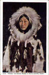 Obleka Native Americana Postcard Postcard