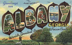 Greetings From Albany Greetings From Albany