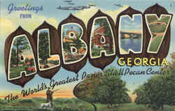 Greetings From Albany Postcard