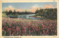 Greetings From Towanda Postcard