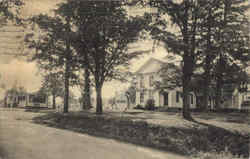 Twin Tree Farm Postcard