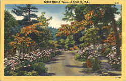 Greetings From Apollo Pennsylvania Postcard Postcard