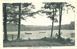 Lake Nepahwin Canton, PA Postcard Postcard