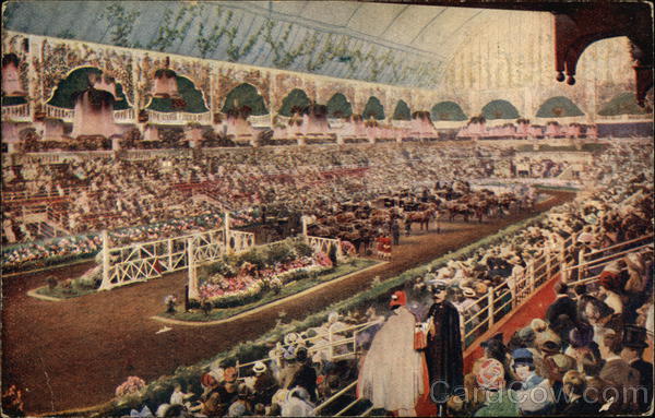 International Horse Show, Olympia, London, 1929 England