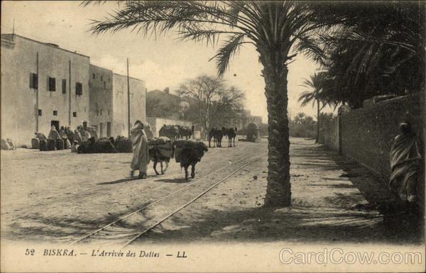 L'Arivèe Des Dalles Biskr Algeria Africa