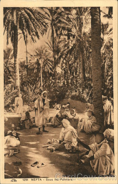Sous les Palmiers Nefta Tunisia Africa
