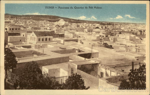 Panorama du Quartier de Sidi Mahres Tunis Tunisia Africa