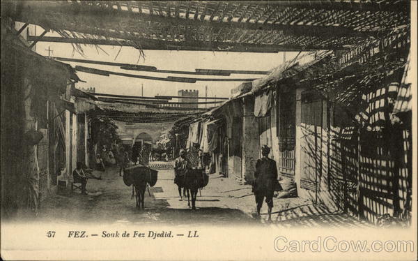 Souk de Fez Djedid Morocco Africa