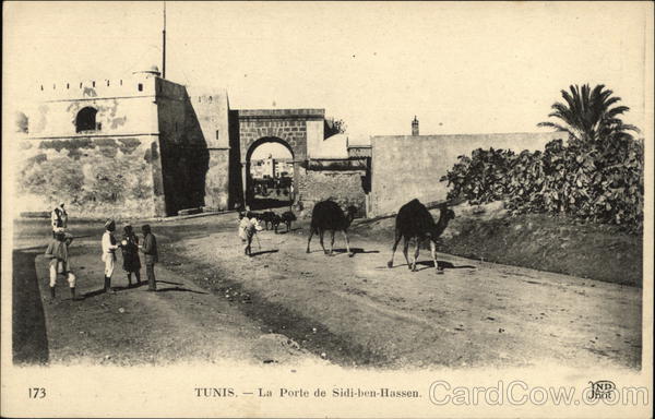 La Porte de Sidi-ben-Hassen Tunis Tunisia Africa