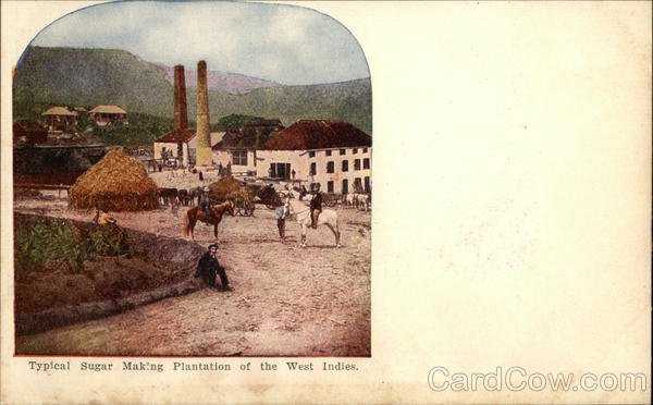 Typical Sugar Making Plantation of the West Indies