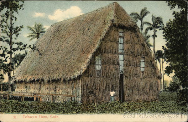 Tobacco Barn Cuba