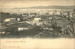 Panramic view of Tanger Postcard