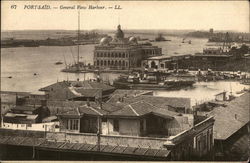 General View of the Harbour Postcard