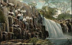 At Chorrera Falls Postcard