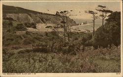The Needles from Alum Bay Postcard