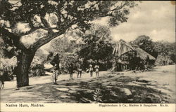 Native Huts Postcard