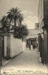 Via Hohenzollern Postcard