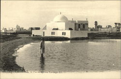 Vue au nouveau Carthage. LL. Postcard