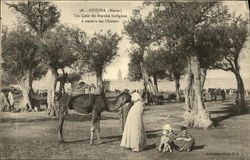 Un coin du marchè indigiène à travers les oliviers Postcard