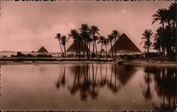 Panorama of the Pyramids Cairo, Egypt Africa Postcard Postcard