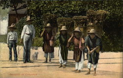 Stock #460776 Thumbnail